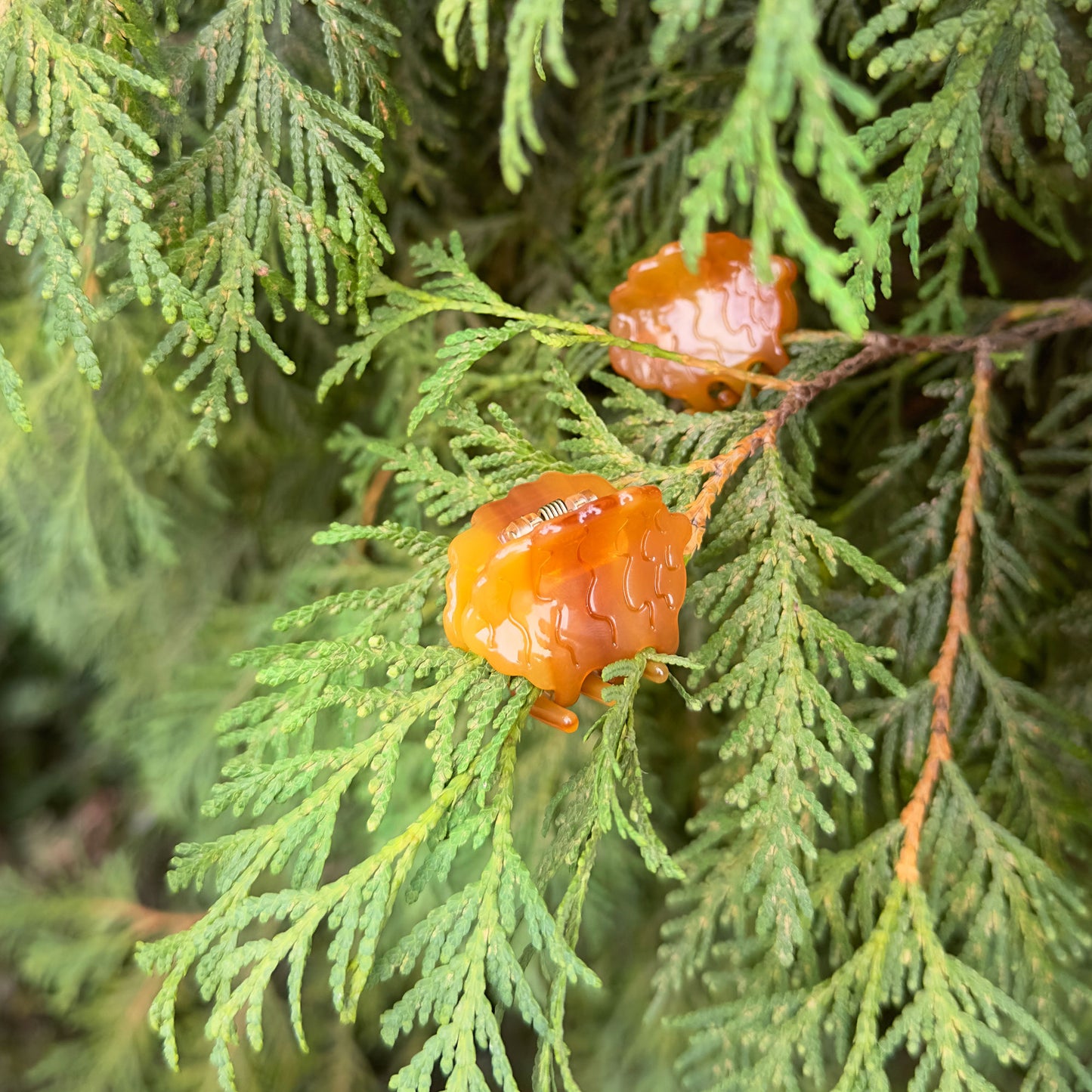 Mini Pine Cone Hair Claw (Set of 2)